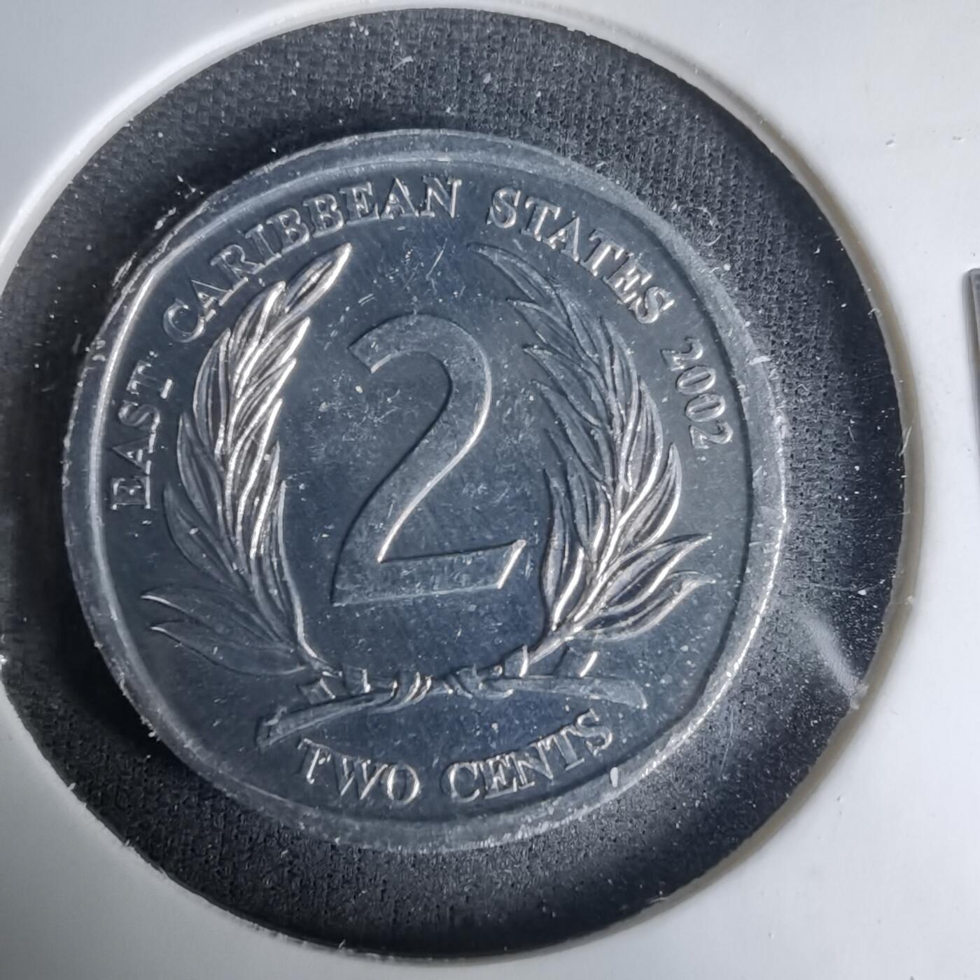 沼泽如烟--第1035场