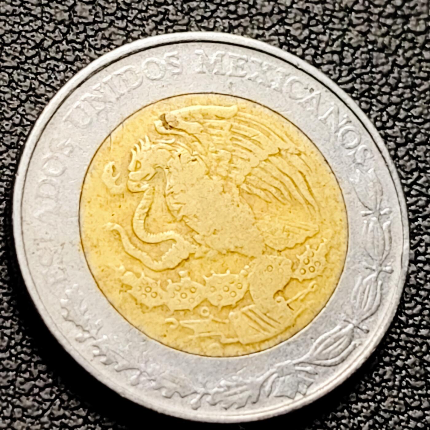 泉币菌-第216场-拍品多 请提前出价 。