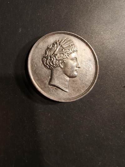 老王徽章第190期 - 法国农业委员会大银章    早期手指950银标     直径33mm    重量16.9g