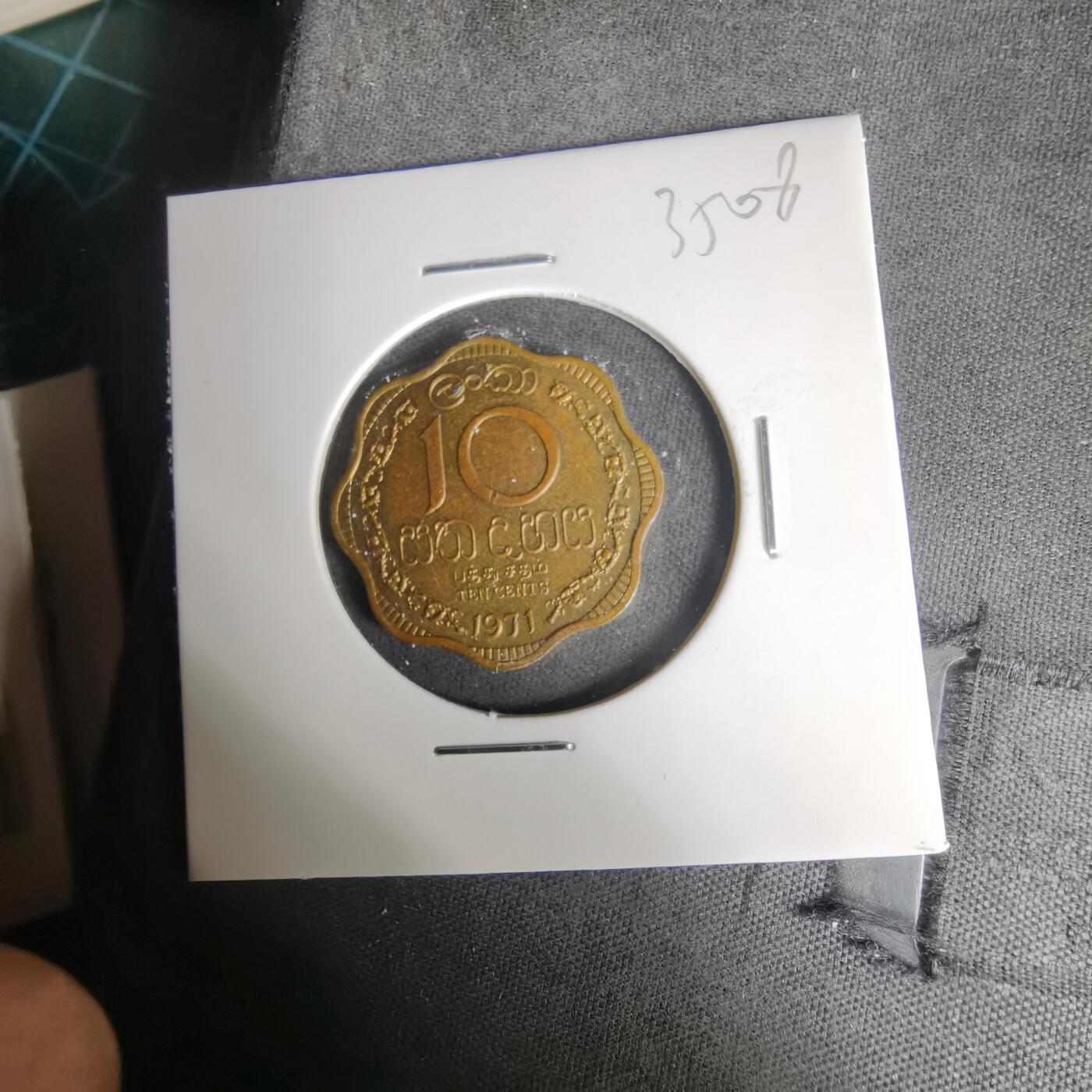 沼泽如烟--第1035场