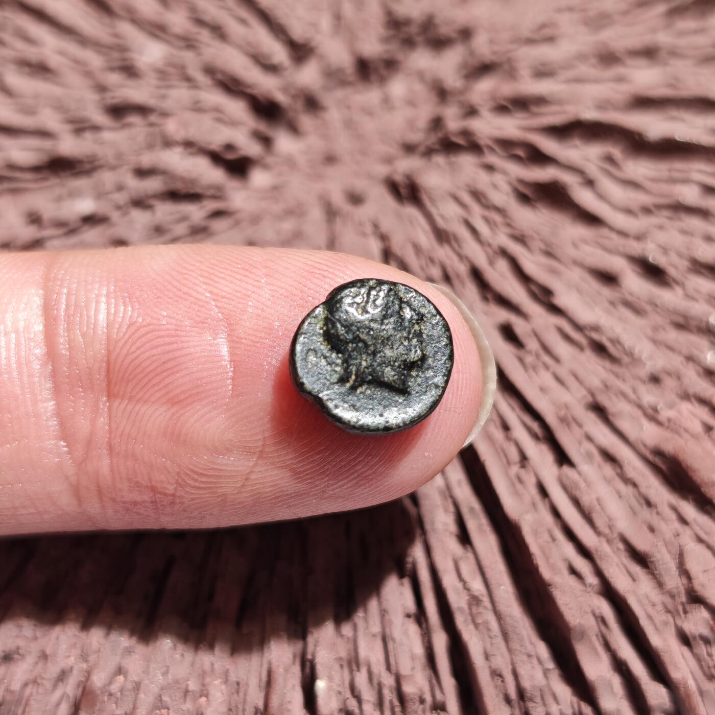 大象古币古希腊古罗马钱币专场首次拍卖1 古希腊特洛阿德（Troas）地区刻布壬（Kebren）城邦太阳神阿波罗和公羊头小铜币