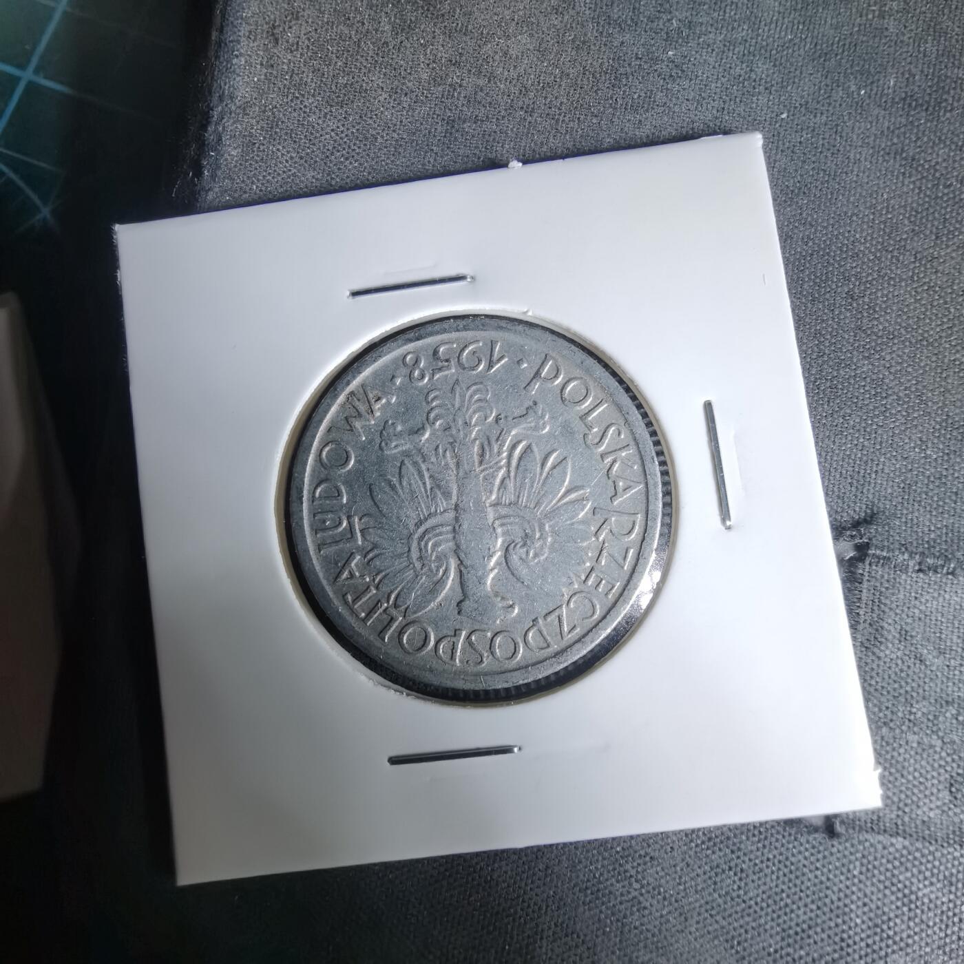 沼泽如烟--第1035场