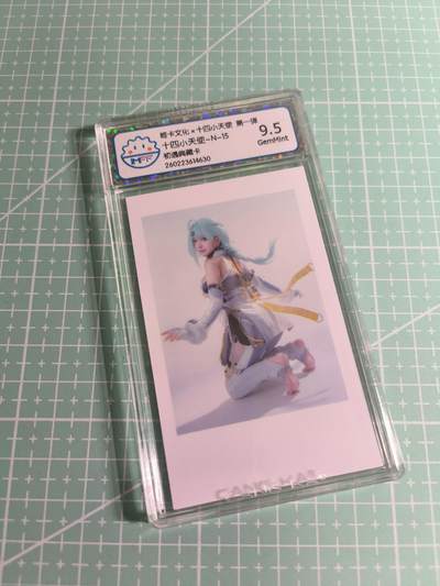 C先生 第25期 零抽层免费代拍  持续收拍品中  需要送拍的老板可以加微私聊 - 【照片卡】姬卡文化《十四小天使》N十五  9.5分