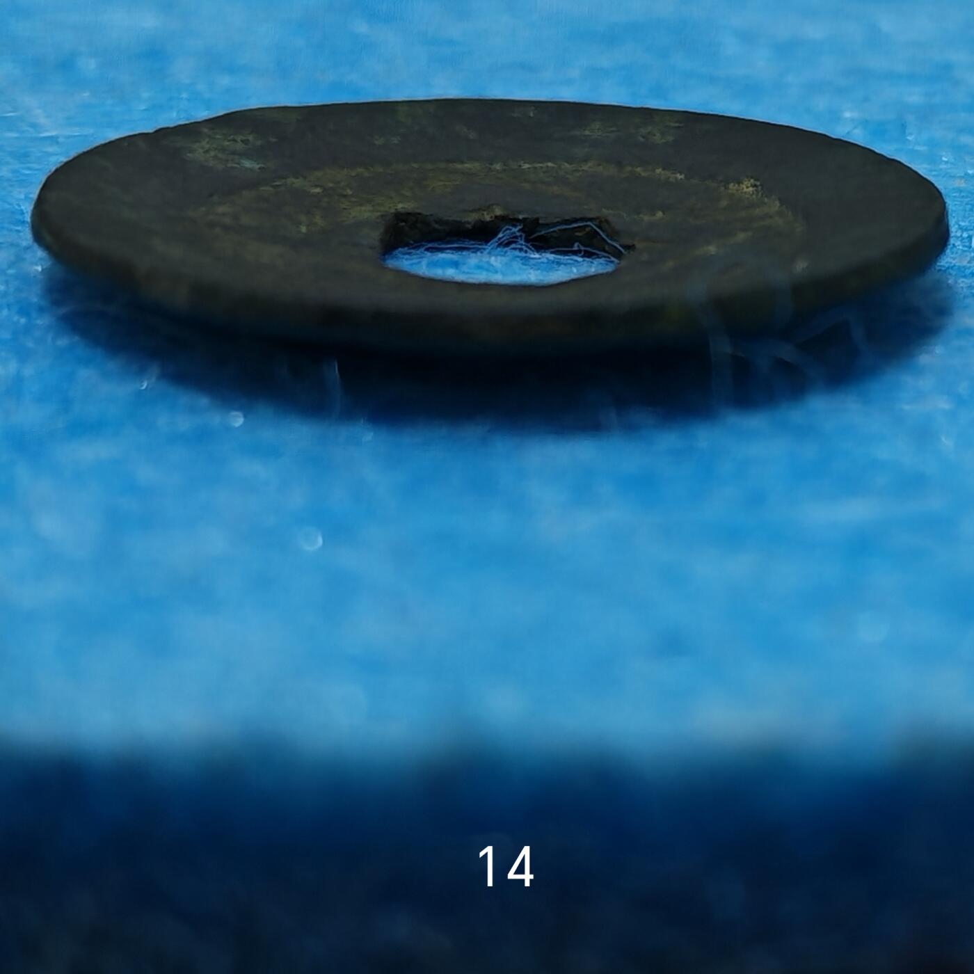 3月27日 🌏全球币章