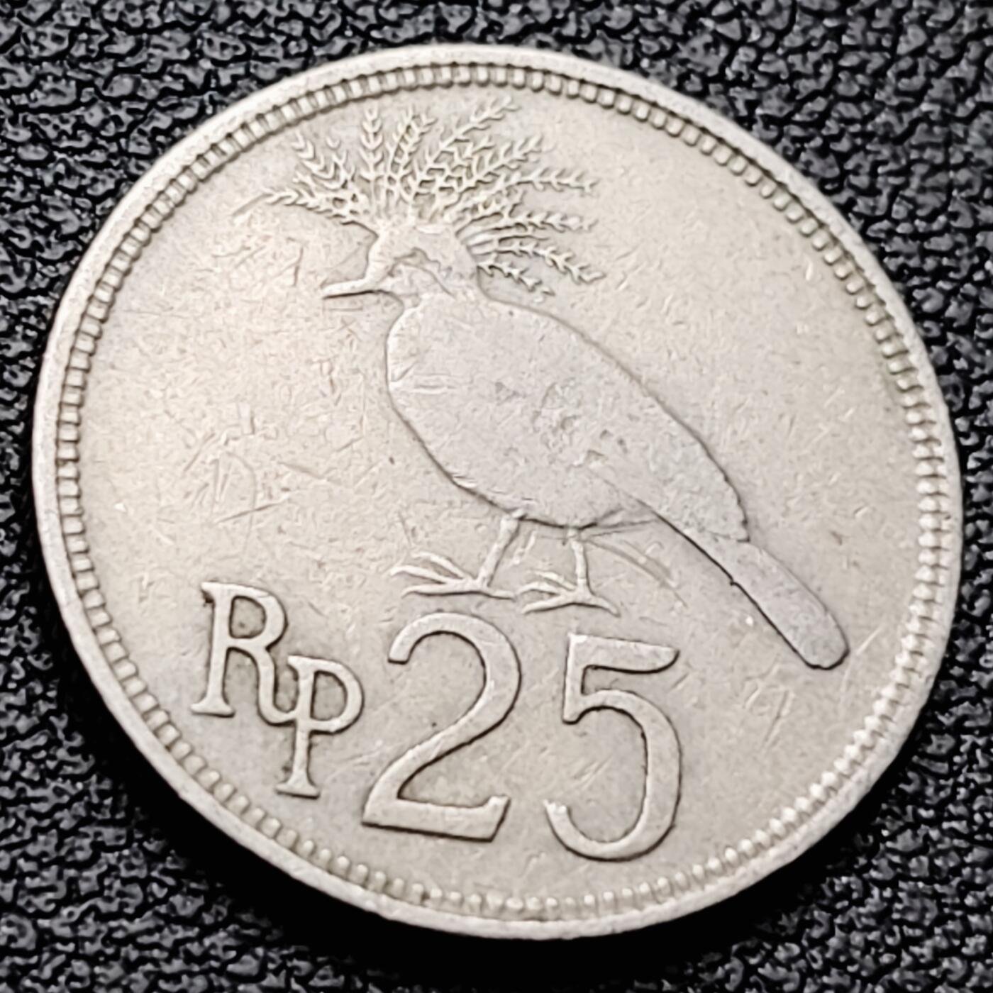 泉币菌-第216场-拍品多 请提前出价 。