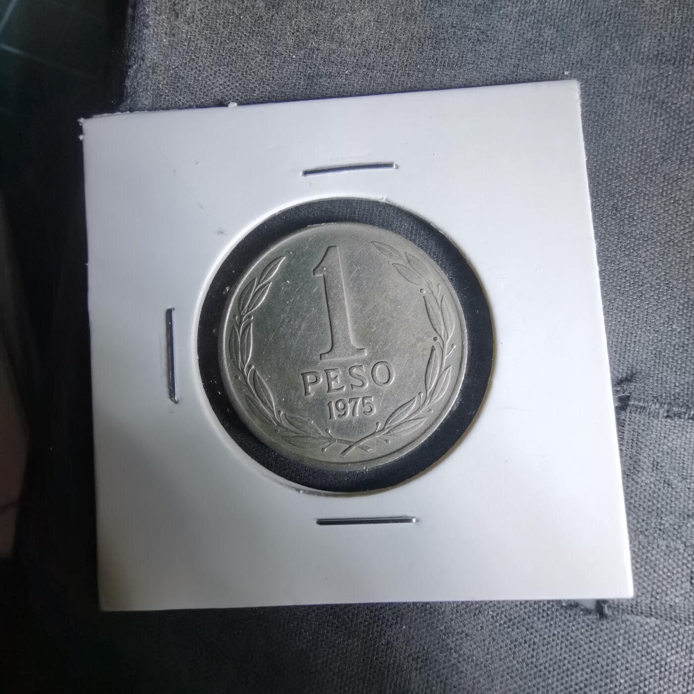 沼泽如烟--第1035场