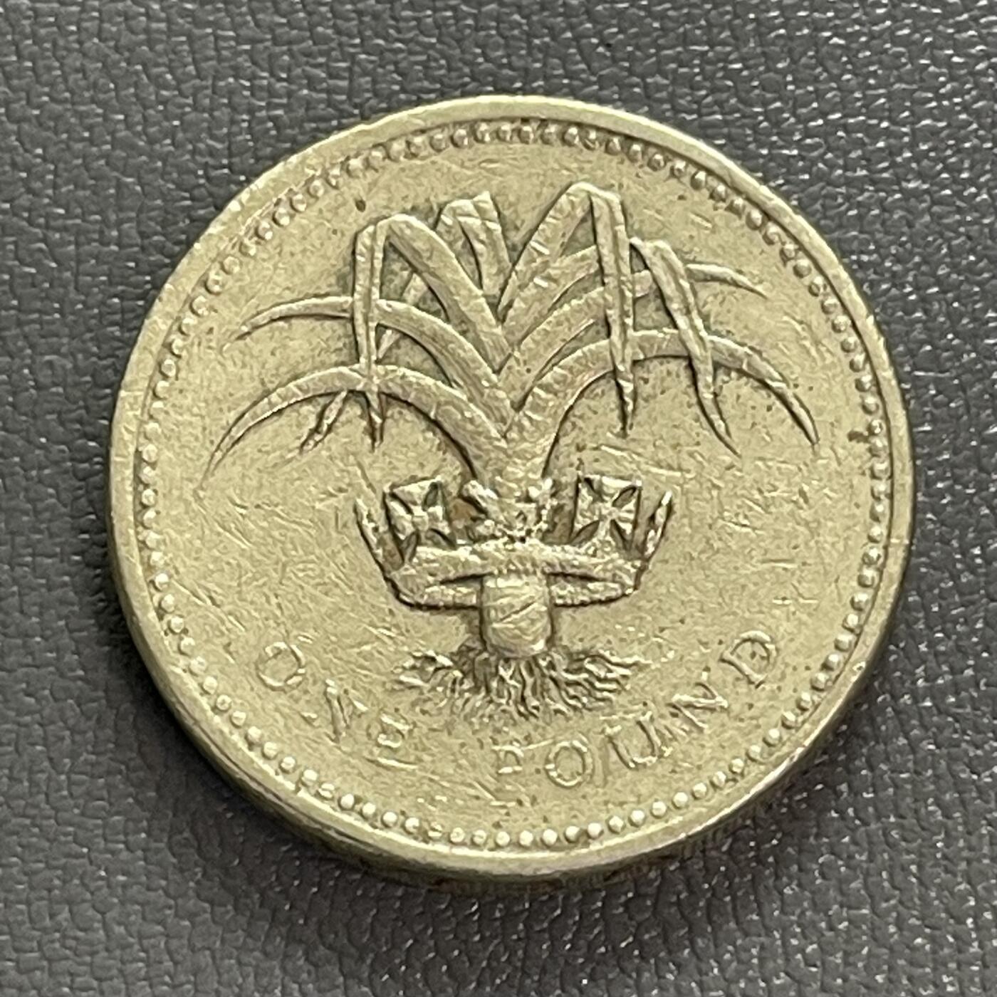 回流0328 英国1985年1镑加厚铜币 威尔士韭葱