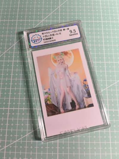 C先生 第25期 零抽层免费代拍  持续收拍品中  需要送拍的老板可以加微私聊 - 【照片卡】姬卡文化《十四小天使》N十二  9.5分