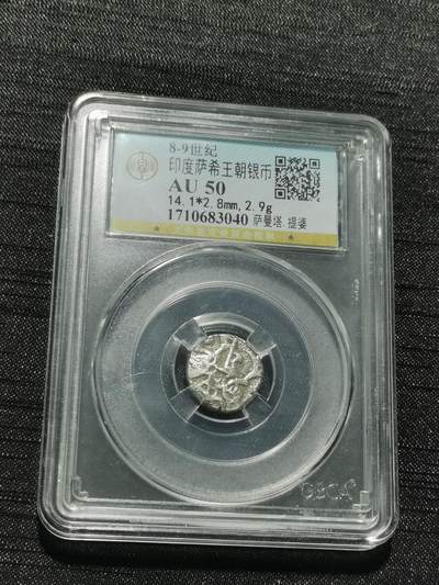 天下钱庄专场欢迎参拍 - 萨希王朝银币