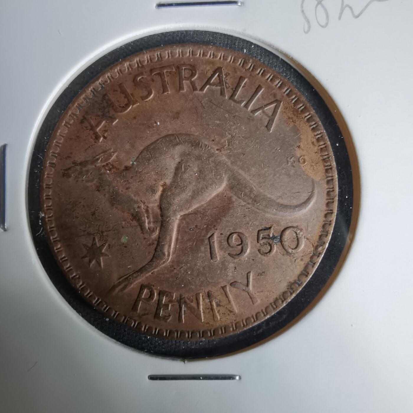 沼泽如烟--第1035场