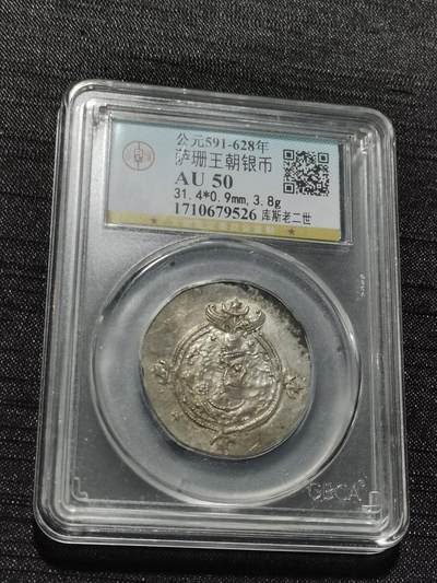 天下钱庄专场欢迎参拍 - 萨珊王朝银币