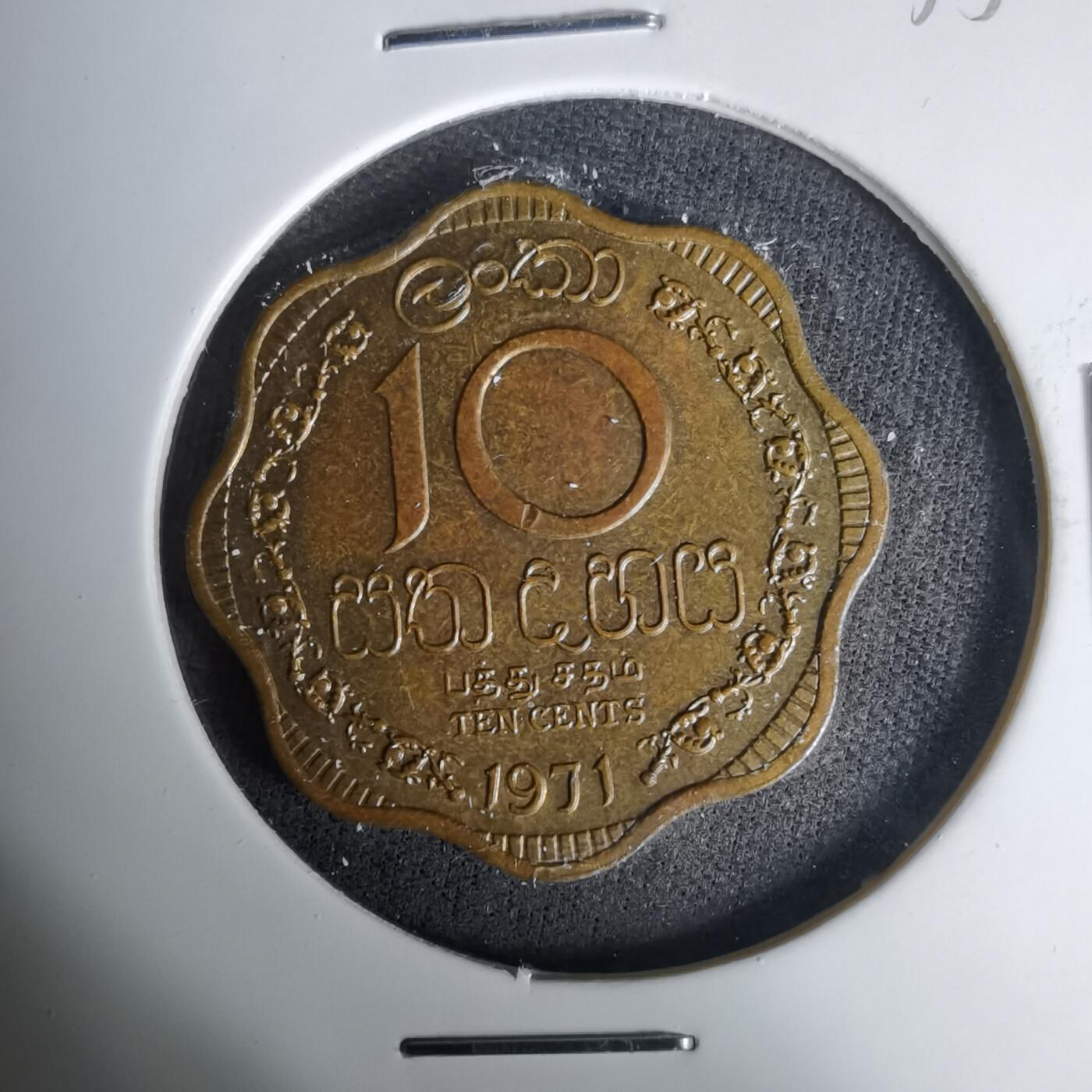 沼泽如烟--第1035场