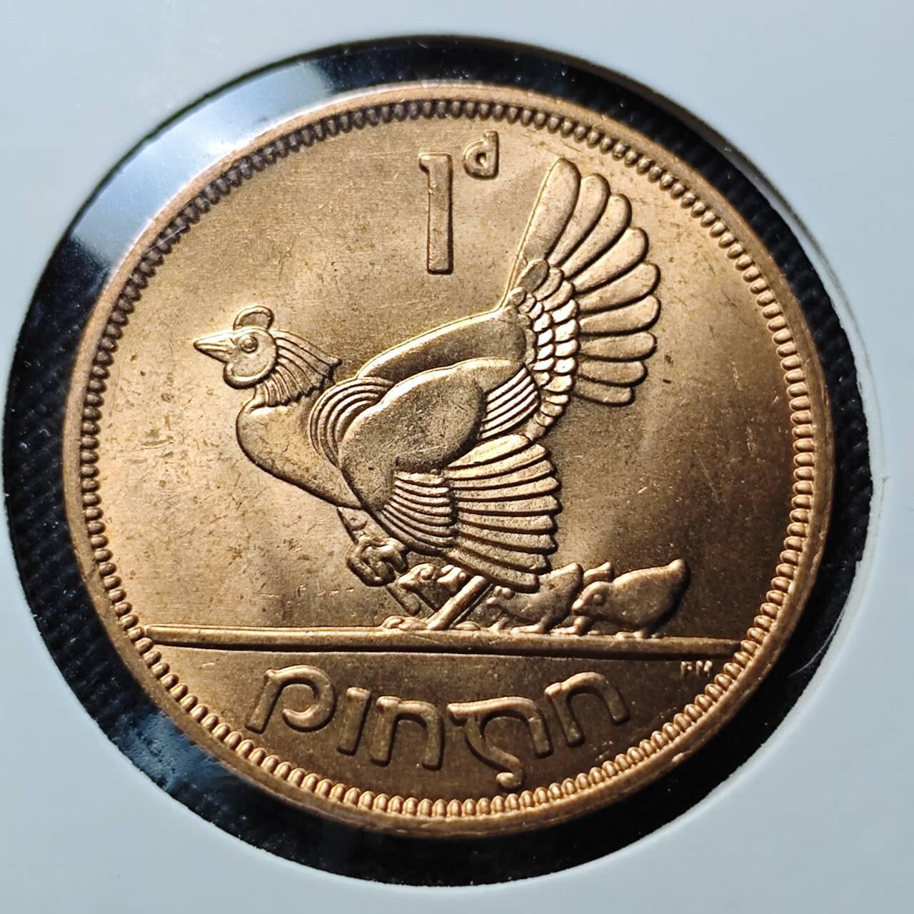 KK钱币收藏小铺  第409期 2月预留时间 周末发货  爱尔兰母鸡1便士铜币 好品