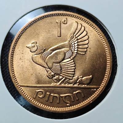 KK钱币收藏小铺  第409期 2月预留时间 周末发货 -  爱尔兰母鸡1便士铜币 好品