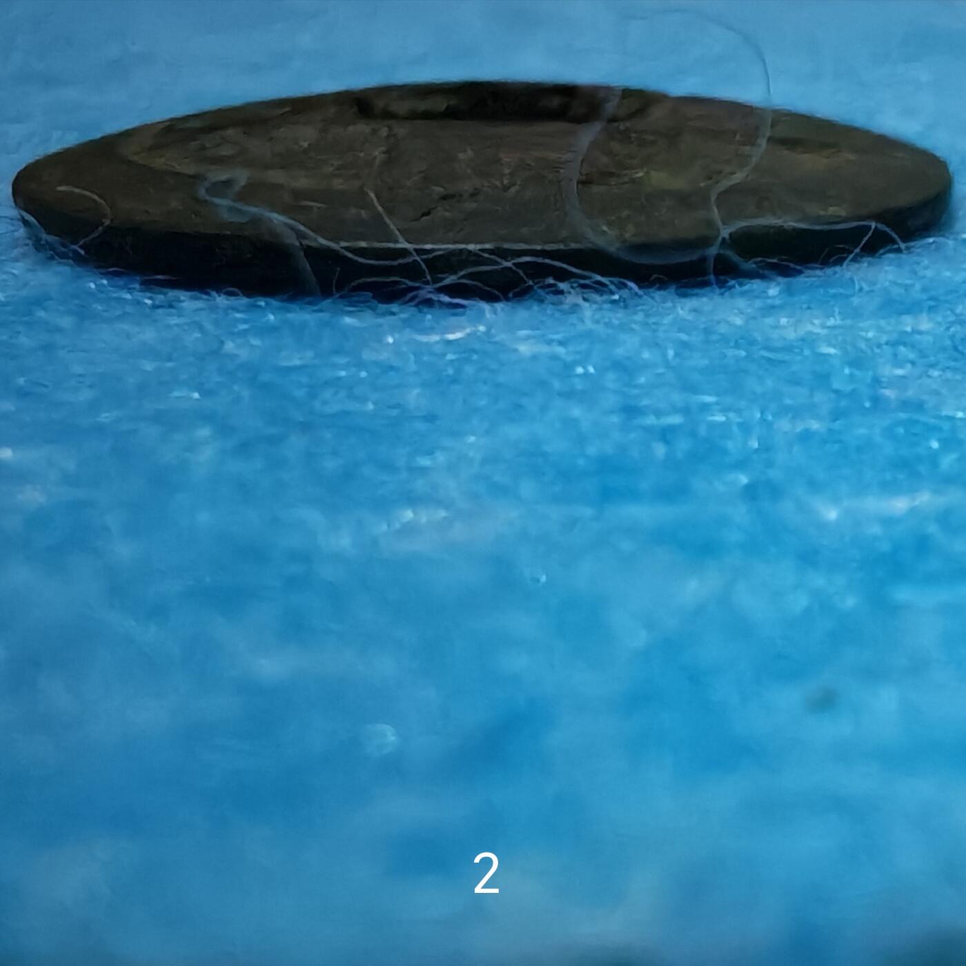 3月27日 🌏全球币章