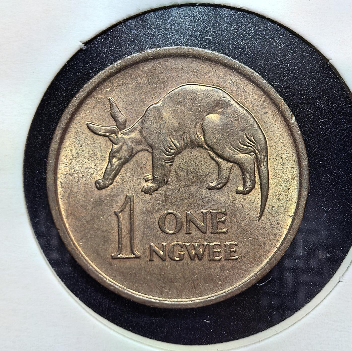 外国优质老铜币银币苏联纪念章，每周六晚九点倒数截拍，满百包邮可寄存，持续收拍 赞比亚1972年1恩韦铜币，正面为开国总统卡翁达头像，背面是珍稀土豚动物图案，设计充满非洲特色，包浆自然，细节清晰，是小众非洲钱币收藏的趣味之选。