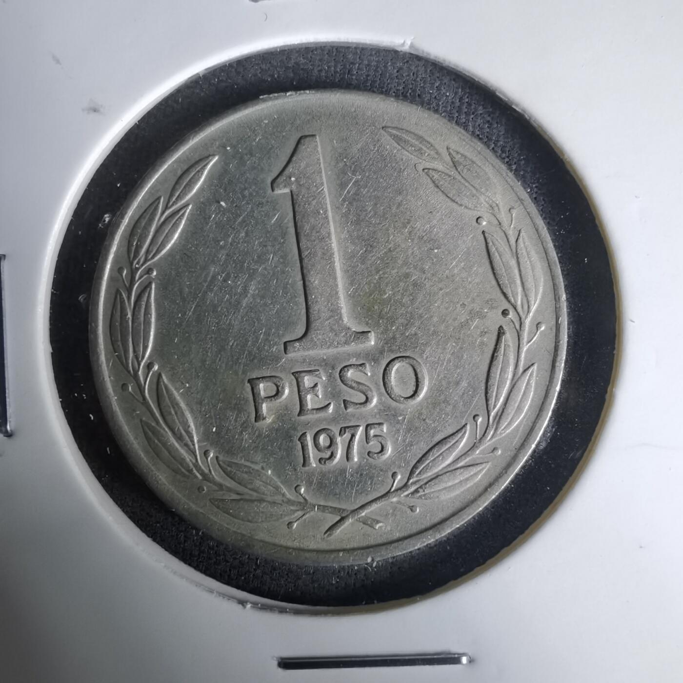 沼泽如烟--第1035场