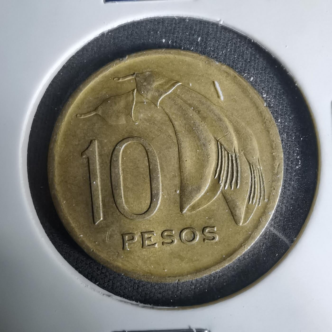 沼泽如烟--第1035场