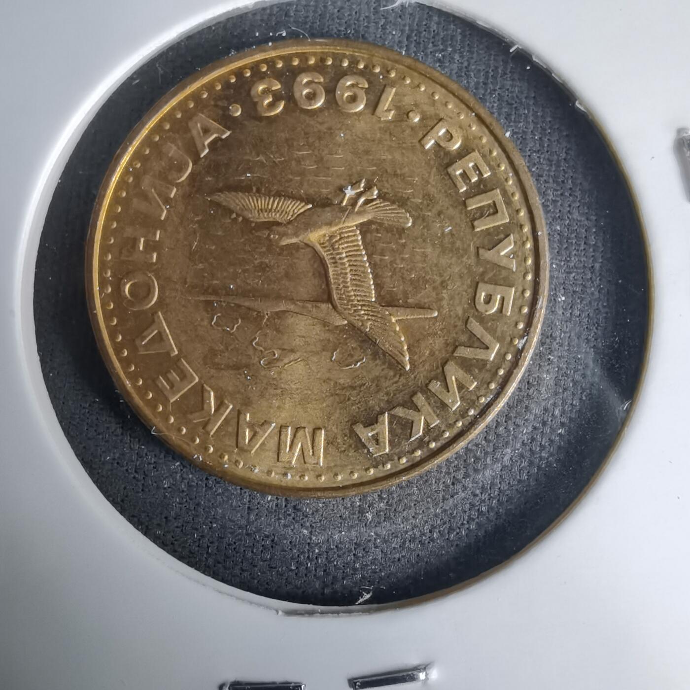 沼泽如烟--第1035场