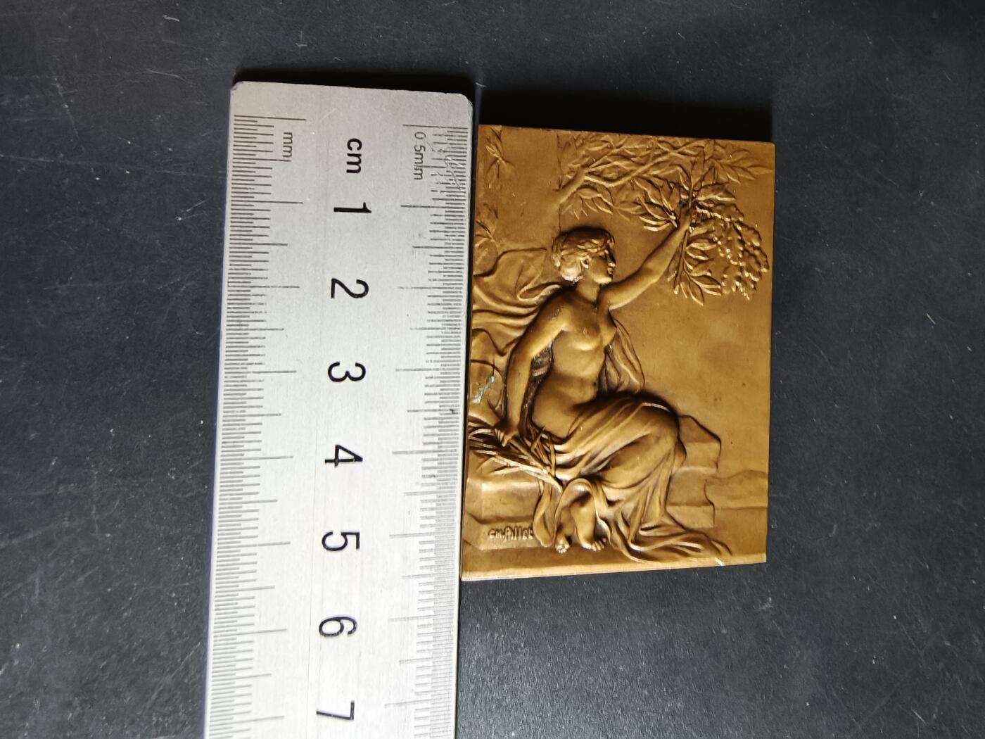 老王徽章第190期 法国香槟地区奥布省方形大铜章     大师夏尔·皮列作品    尺寸40×56mm    重量55.6g