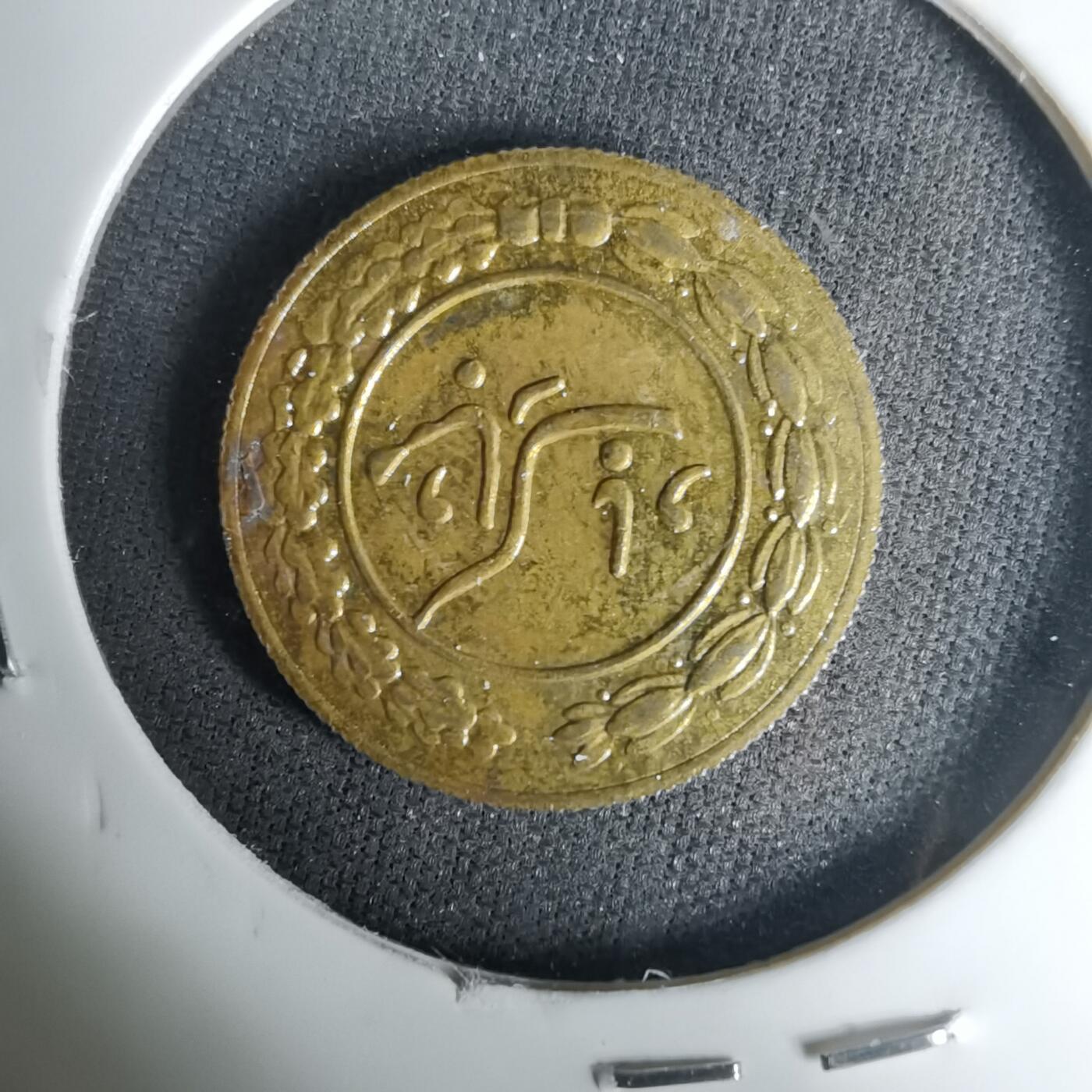 沼泽如烟--第1035场 伊朗代币