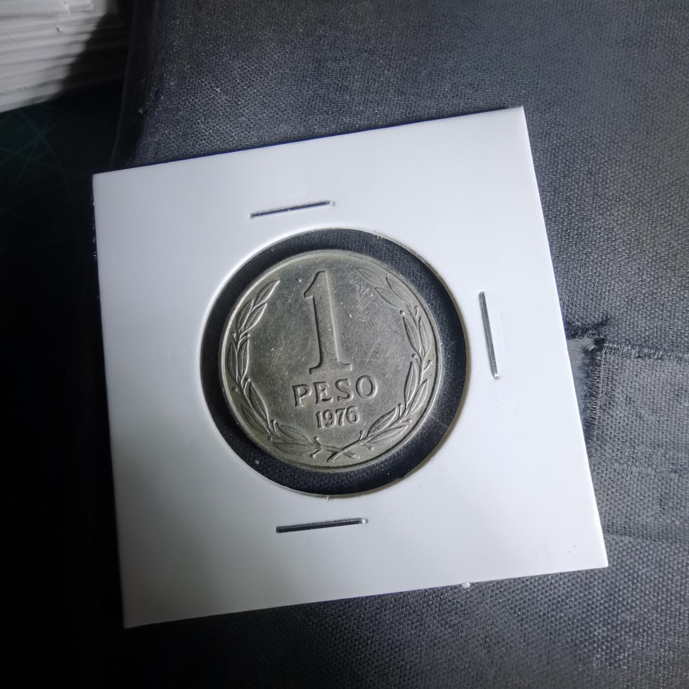 沼泽如烟--第1035场