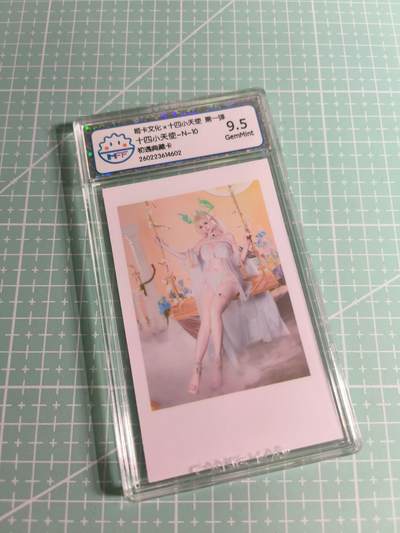 C先生 第25期 零抽层免费代拍  持续收拍品中  需要送拍的老板可以加微私聊 - 【照片卡】姬卡文化《十四小天使》N十  9.5分