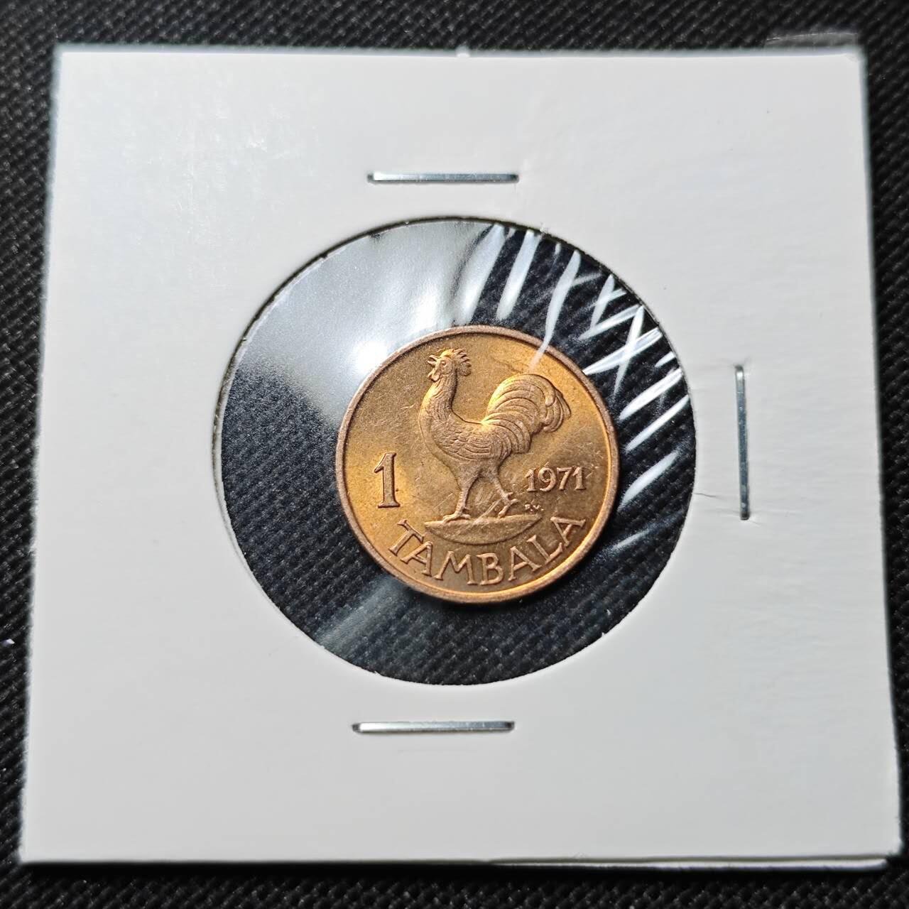 KK钱币收藏小铺  第409期 2月预留时间 周末发货