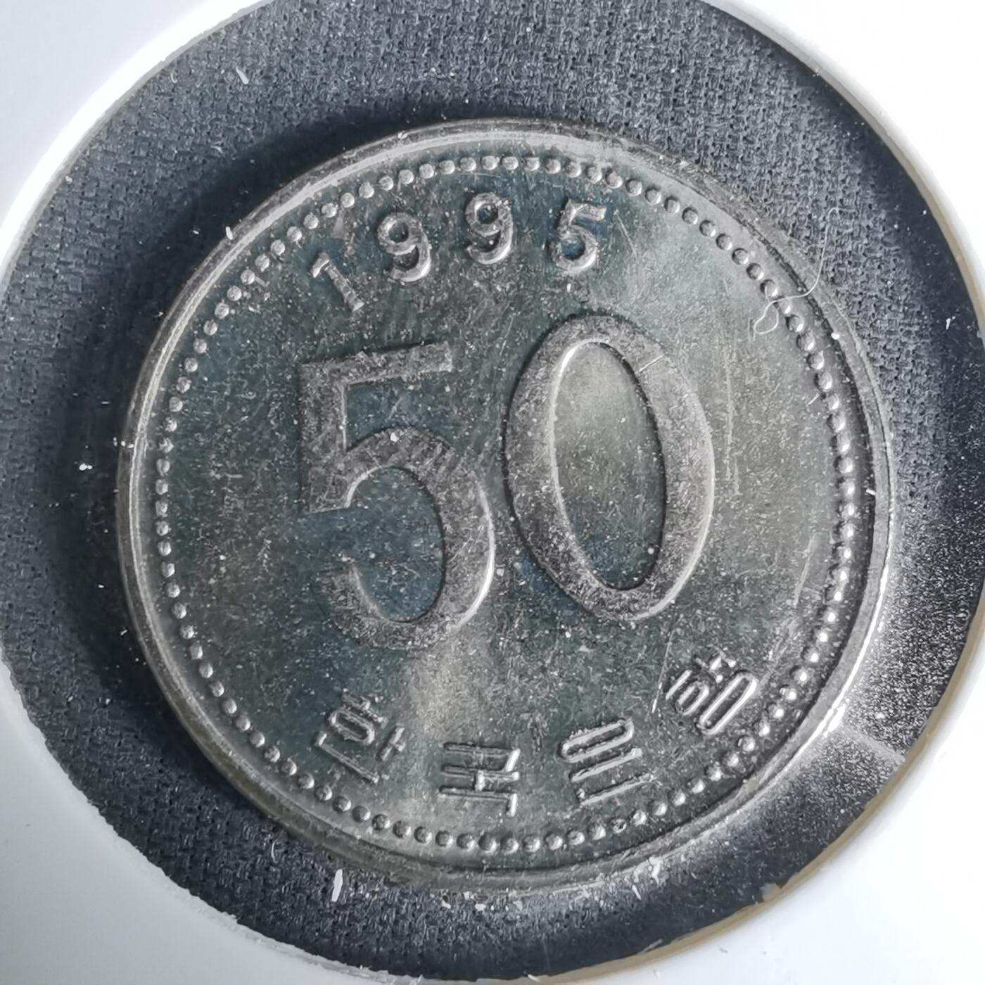 沼泽如烟--第1035场