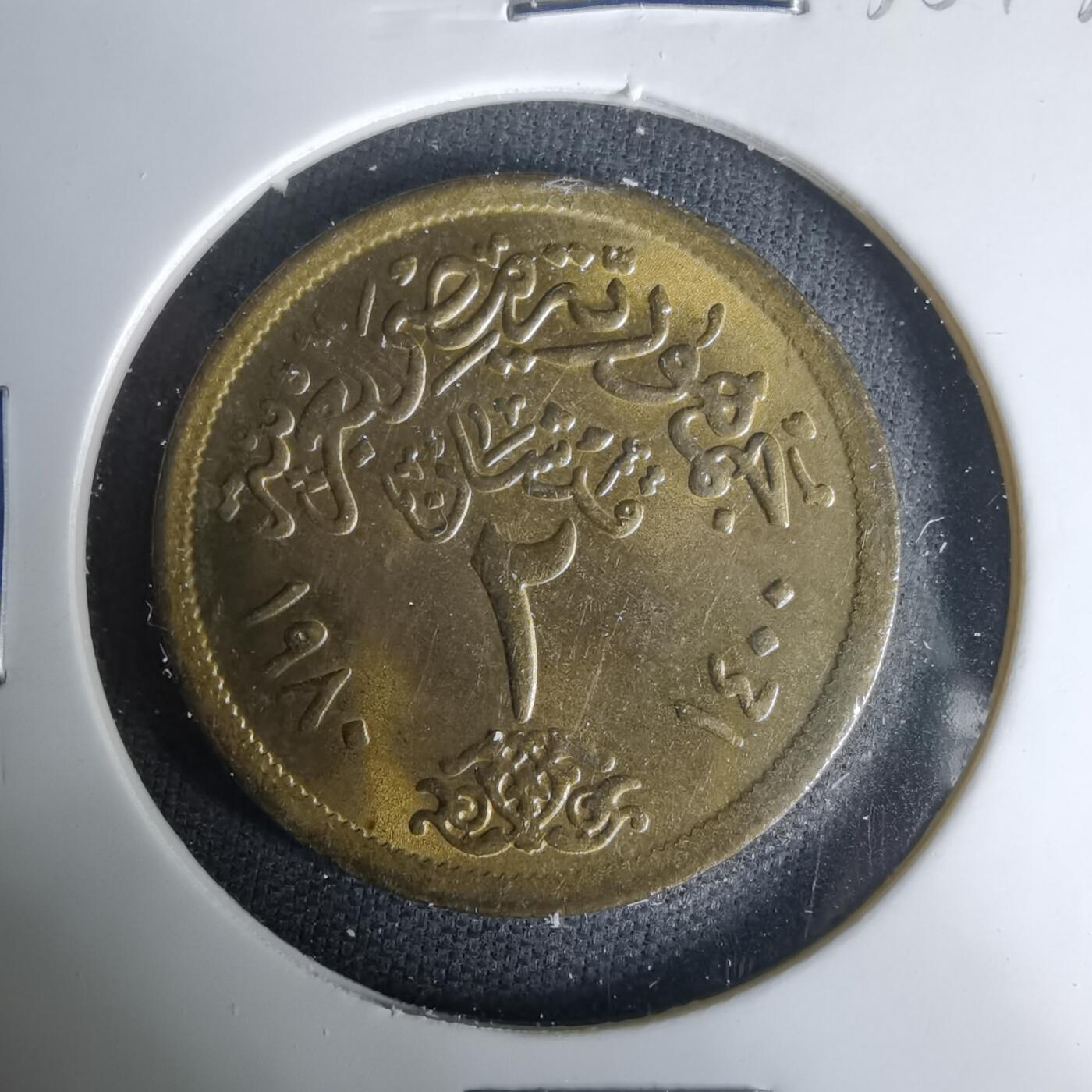 沼泽如烟--第1035场 埃及