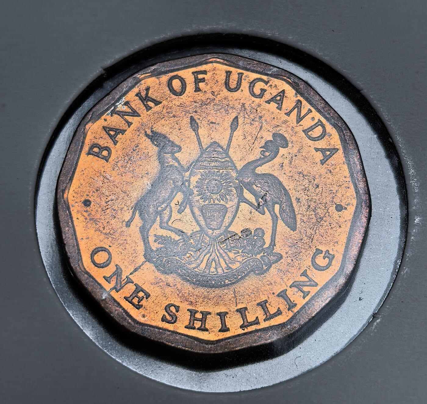 外国优质老铜币银币苏联纪念章，每周六晚九点倒数截拍，满百包邮可寄存，持续收拍 乌干达1987年1先令铜币，十二边形形制独特，国徽绘有灰冠鹤与羚羊，背面棉枝与咖啡果纹饰尽显非洲农业风情，铜色包浆温润，是小众非洲钱币收藏的趣味之选。