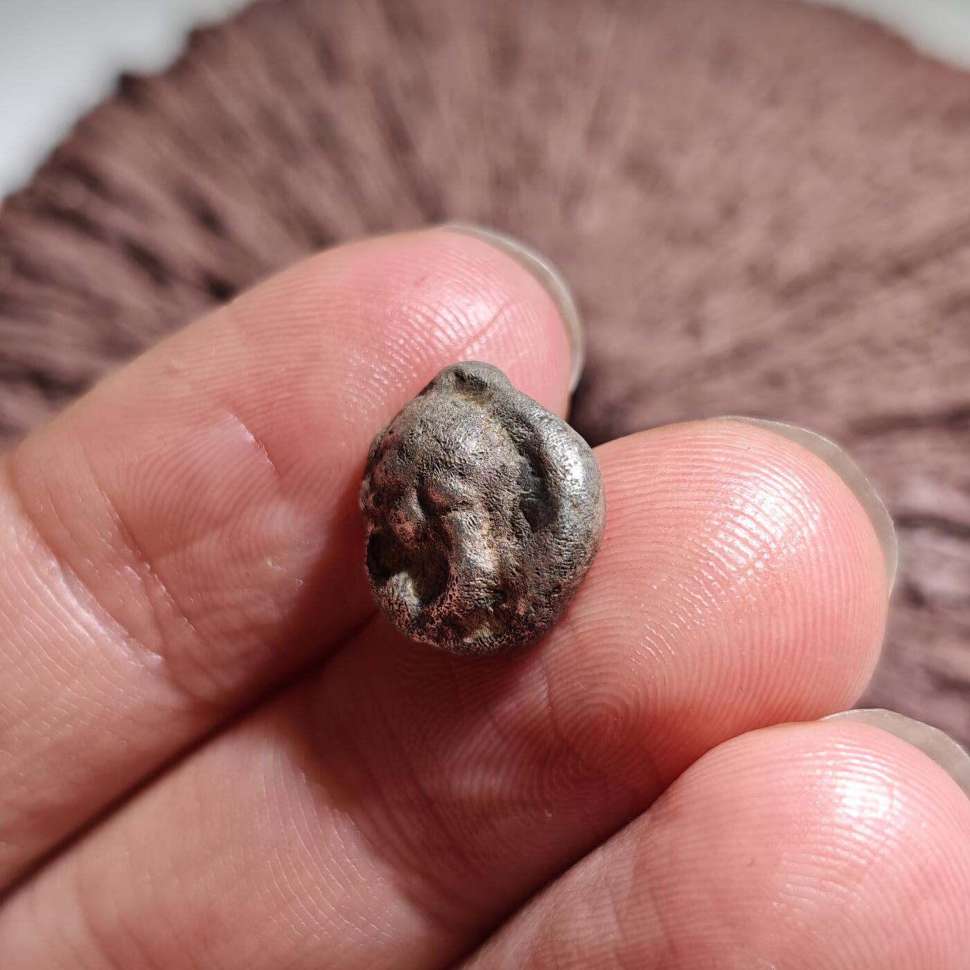 大象古币古希腊古罗马钱币专场首次拍卖1