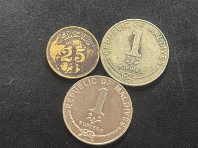 邮泉阁邮票限时拍卖第四十四场 （邮票在国外，请付邮费6元） - 马尔代夫3枚