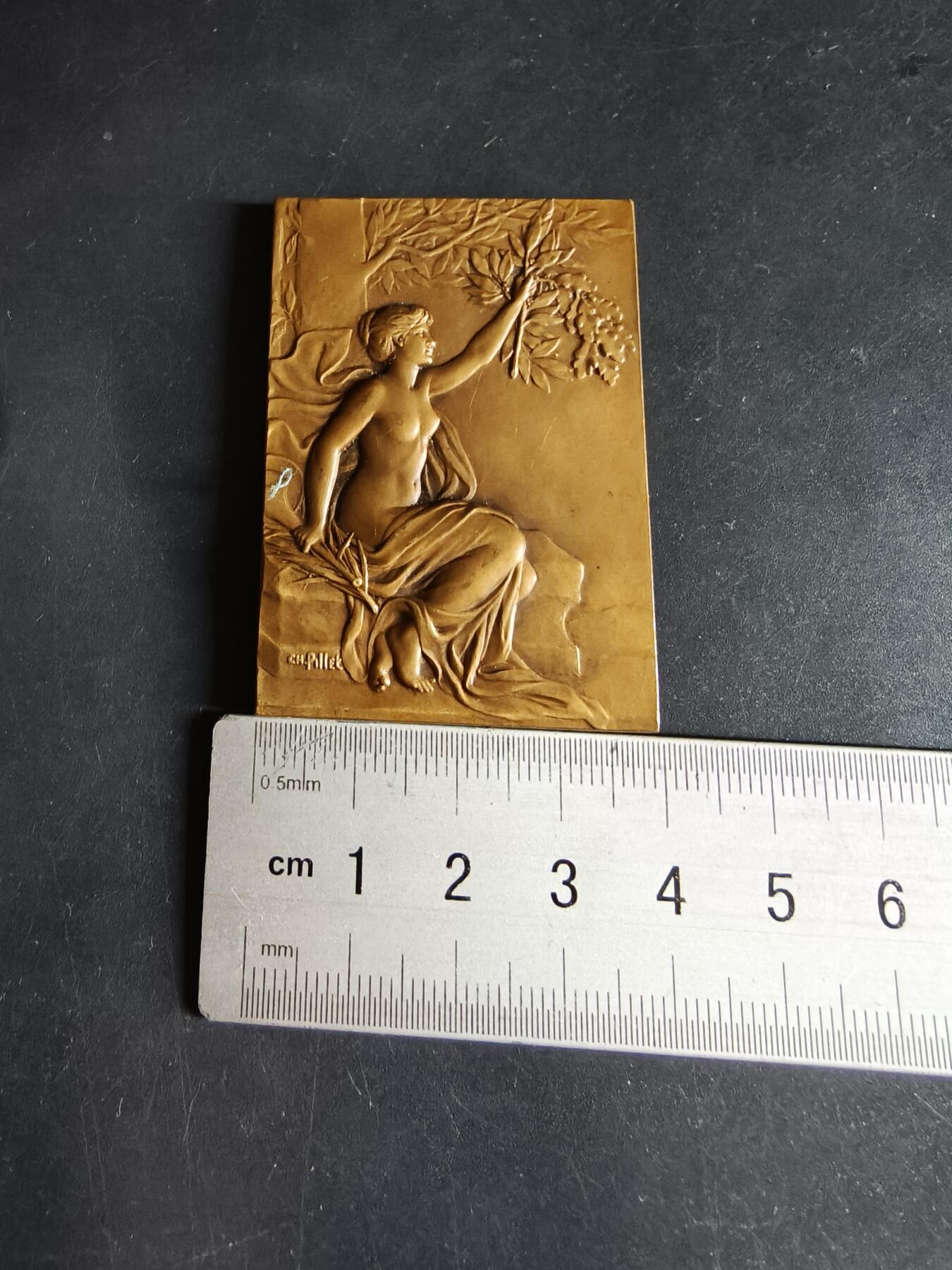 老王徽章第190期 法国香槟地区奥布省方形大铜章     大师夏尔·皮列作品    尺寸40×56mm    重量55.6g