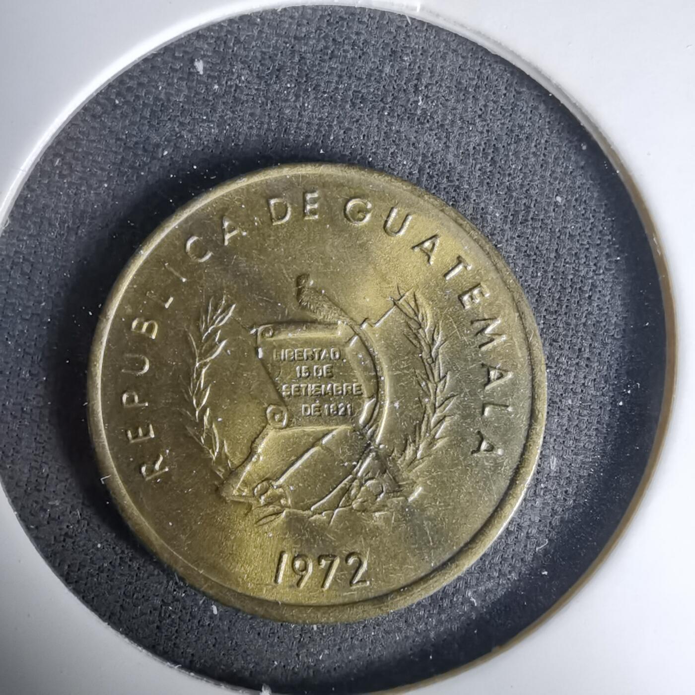 沼泽如烟--第1035场