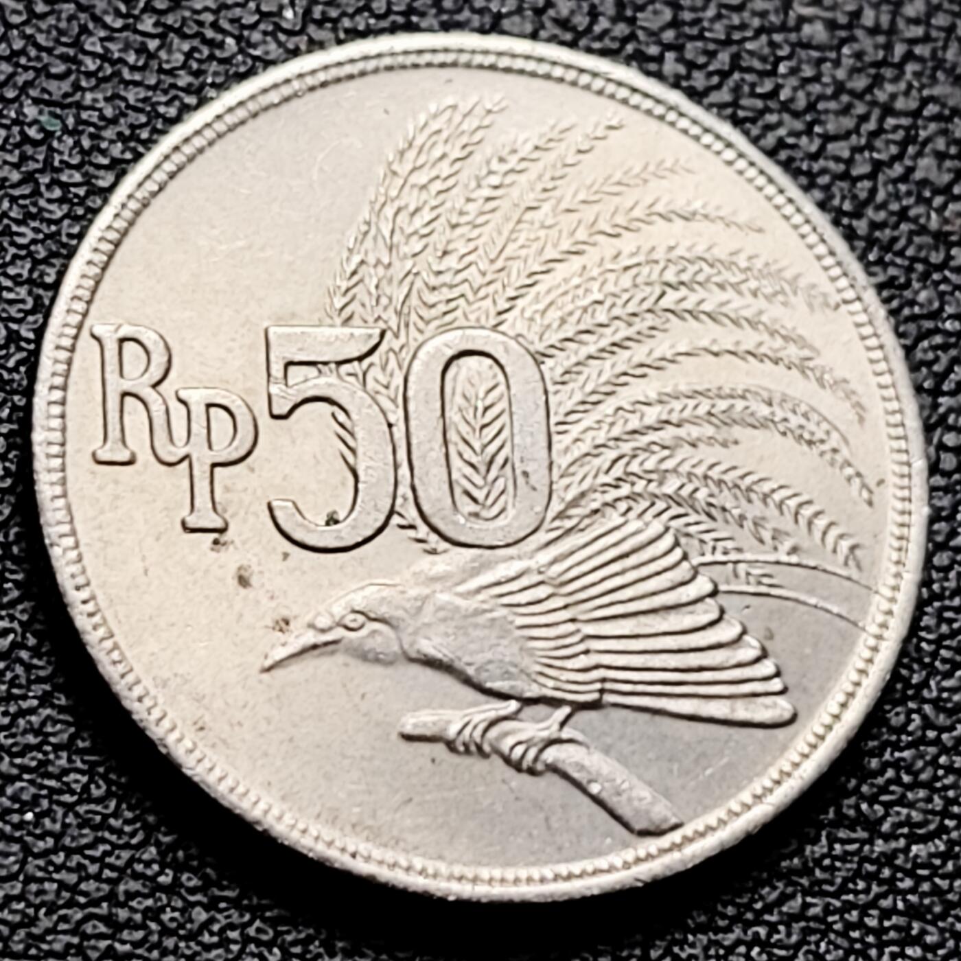 泉币菌-第216场-拍品多 请提前出价 。