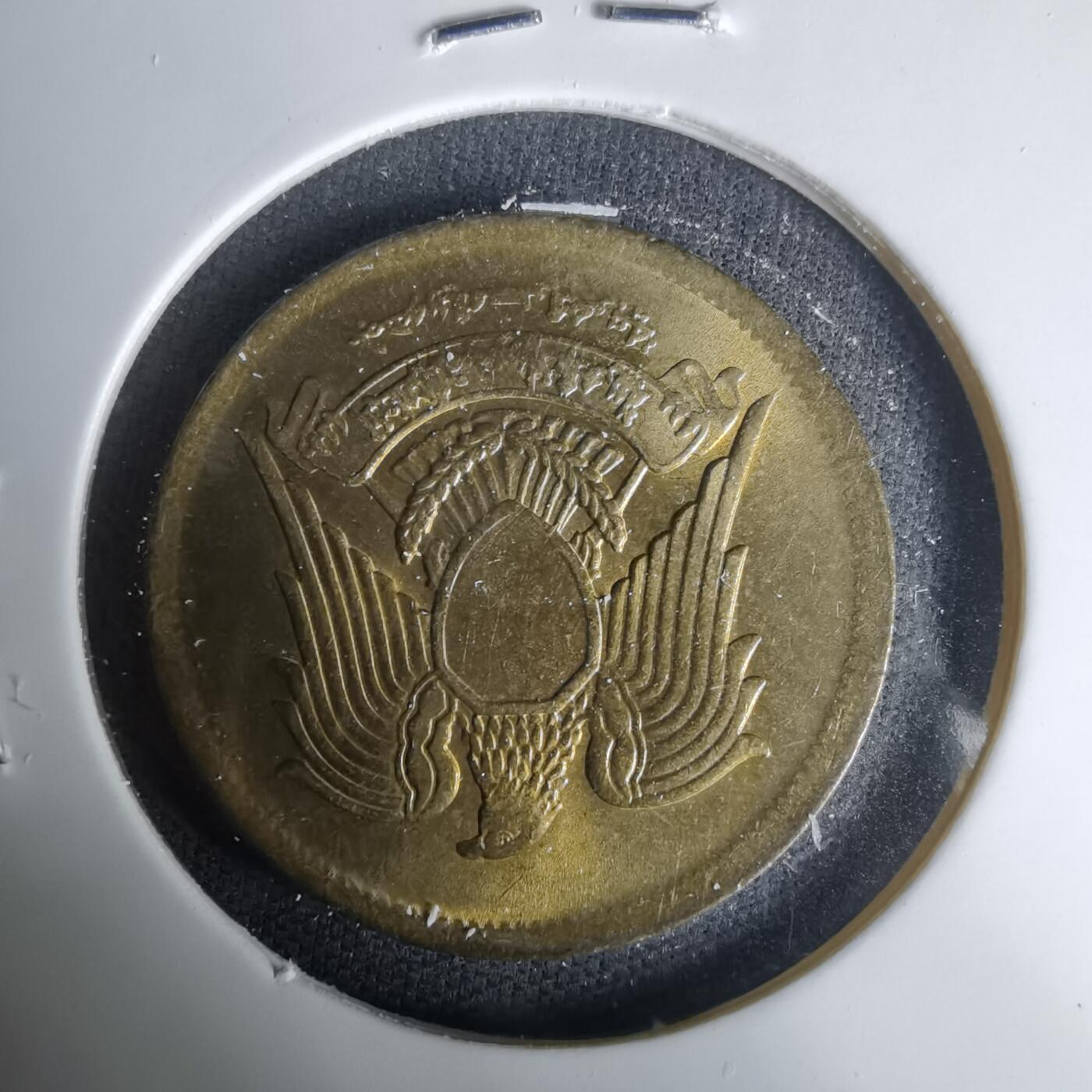 沼泽如烟--第1035场 埃及