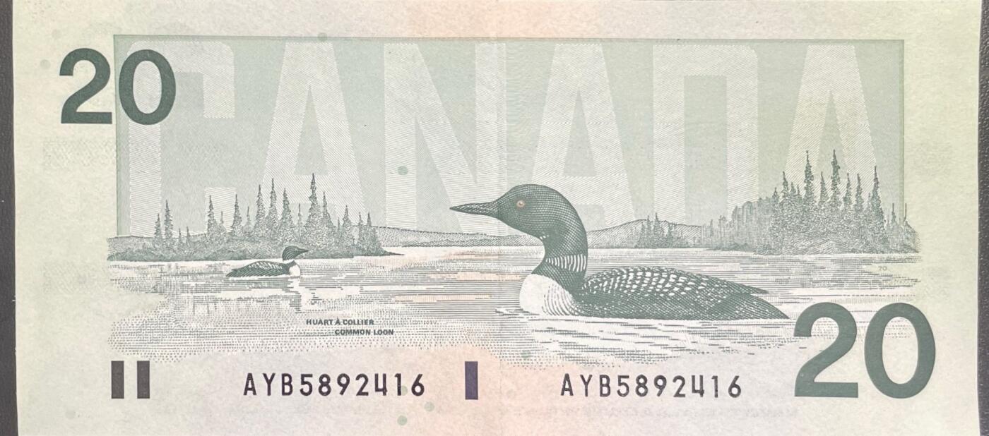 回流0328 1991年加拿大20元纸币（鸟版/潜鸟版）