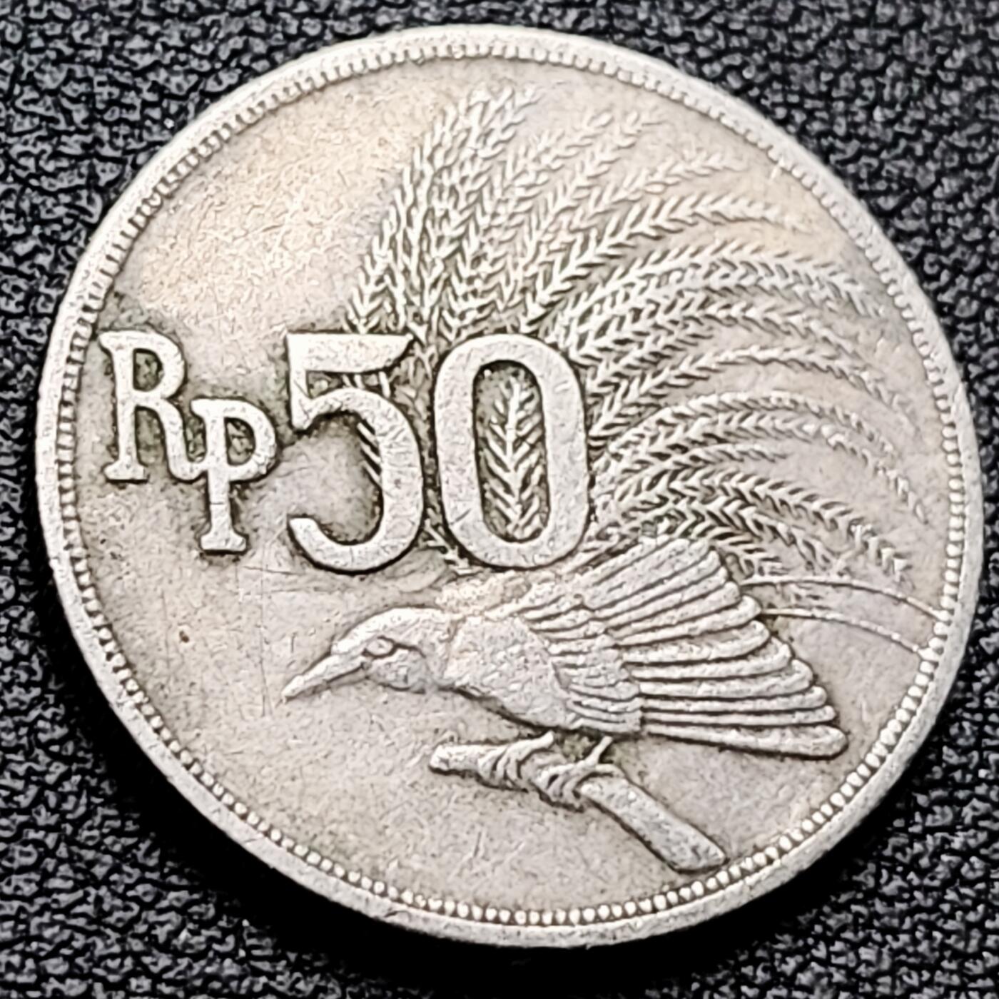 泉币菌-第216场-拍品多 请提前出价 。