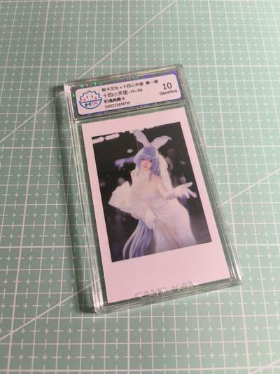 C先生 第25期 零抽层免费代拍  持续收拍品中  需要送拍的老板可以加微私聊 - 【照片卡】姬卡文化《十四小天使》N三十六 10G