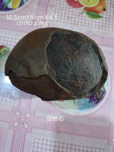 结核石 - 结核石