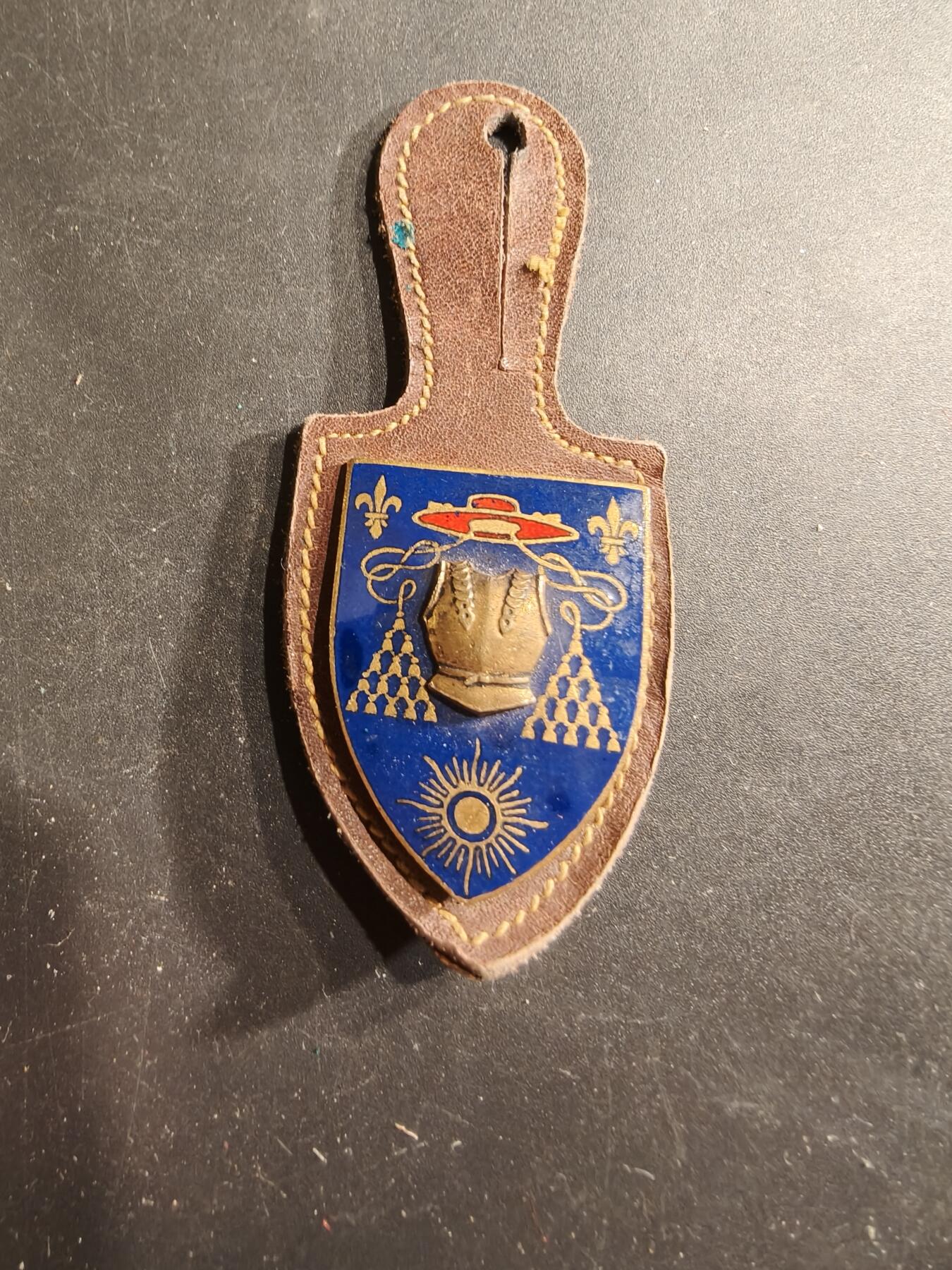 老王徽章第190期 法国陆军第6胸甲骑兵团证章