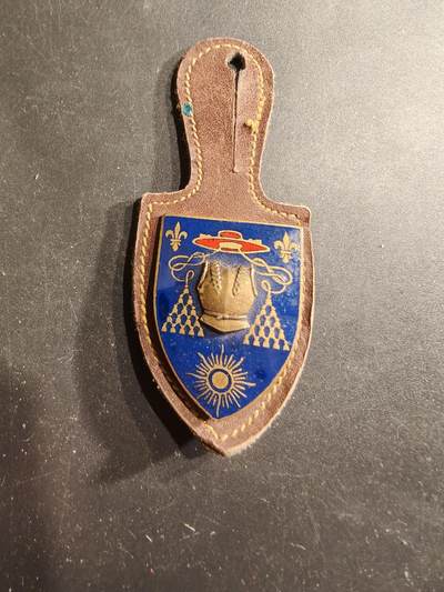 老王徽章第190期 - 法国陆军第6胸甲骑兵团证章