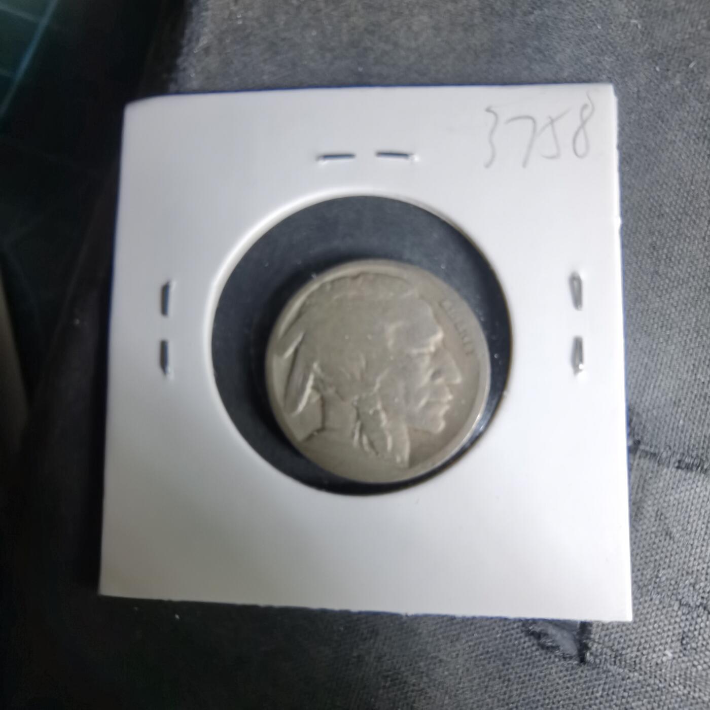 沼泽如烟--第1037场 美国野牛五分