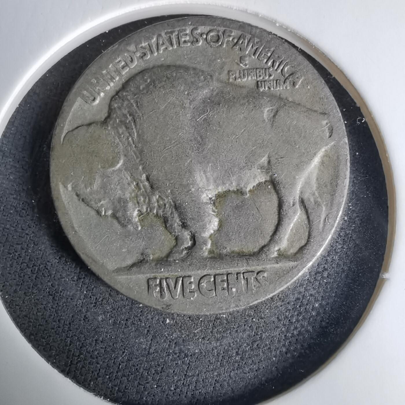 沼泽如烟--第1037场 美国野牛五分