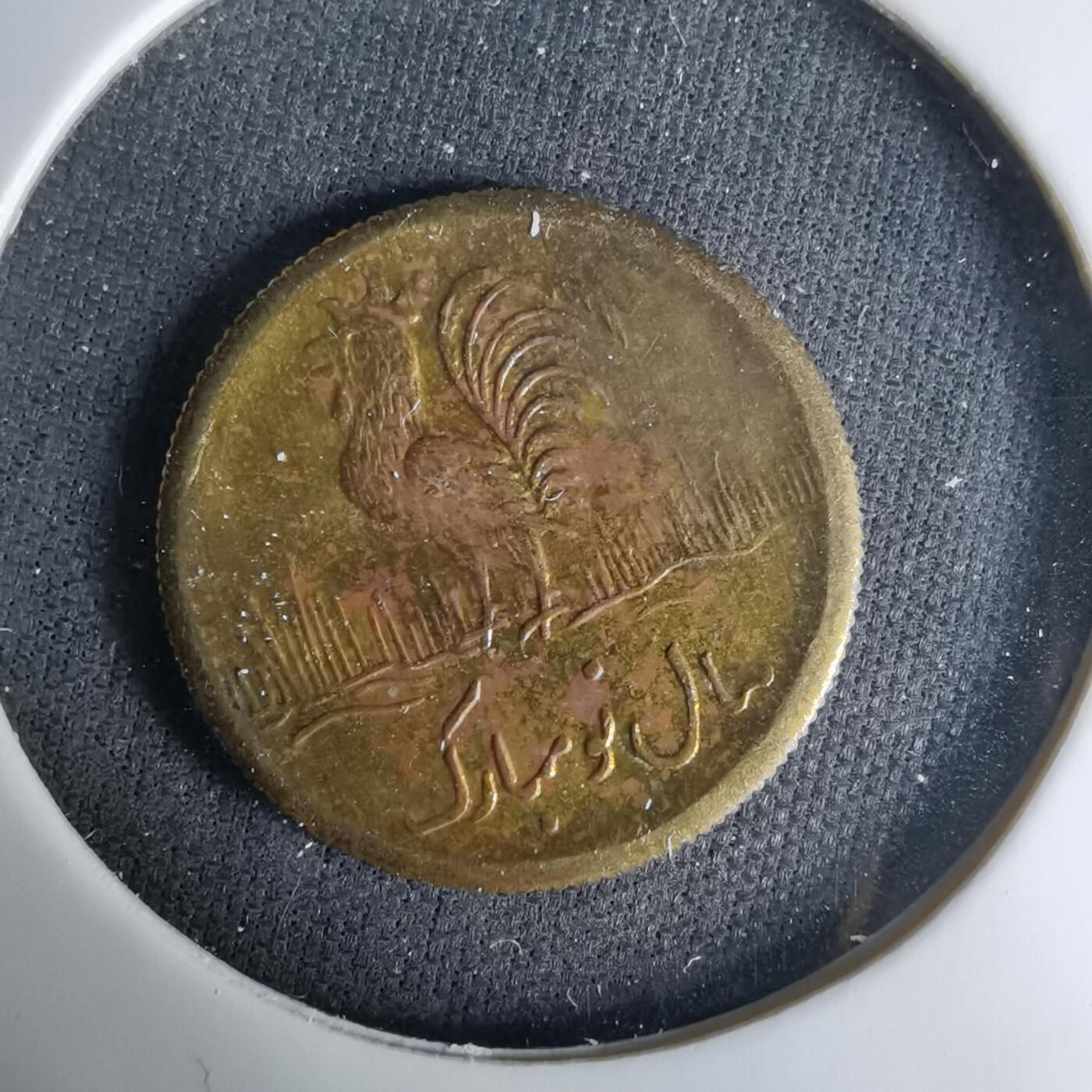 沼泽如烟--第1037场 伊朗代币