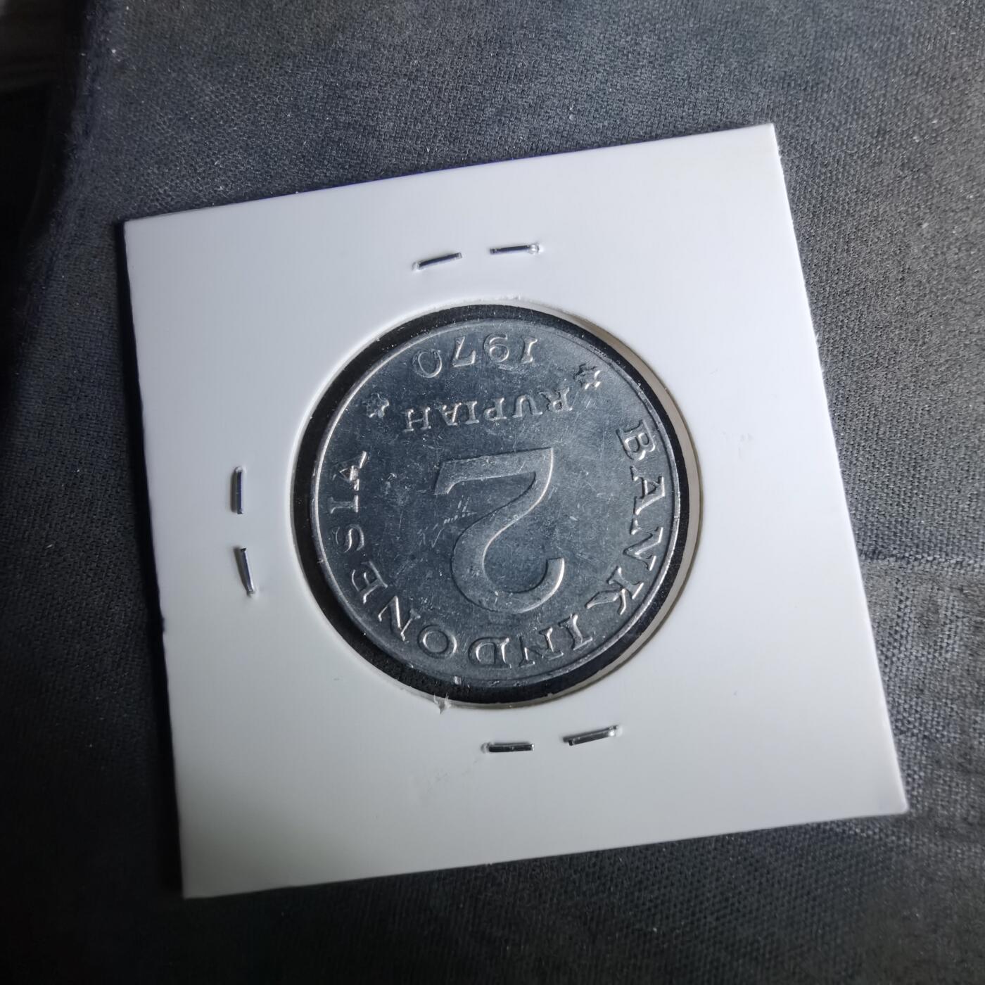 沼泽如烟--第1037场