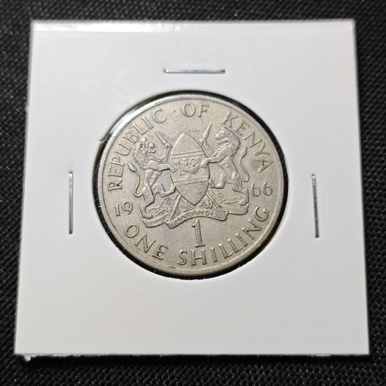 KK钱币收藏小铺  第410期 2月预留时间 周末发货