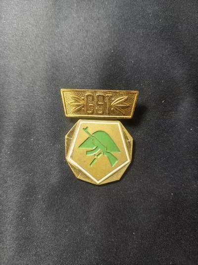 云宸嘉赏-勋臻文献佳藏优品精选场次（低佣 转发佣金红包） - 民主德国GST准军事组织“野战军事训练”技能证章 