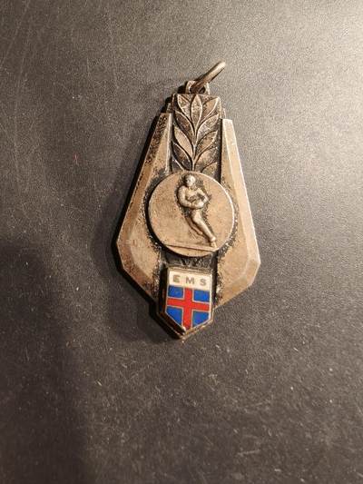 老王徽章第190期 - 法国体育纪念章